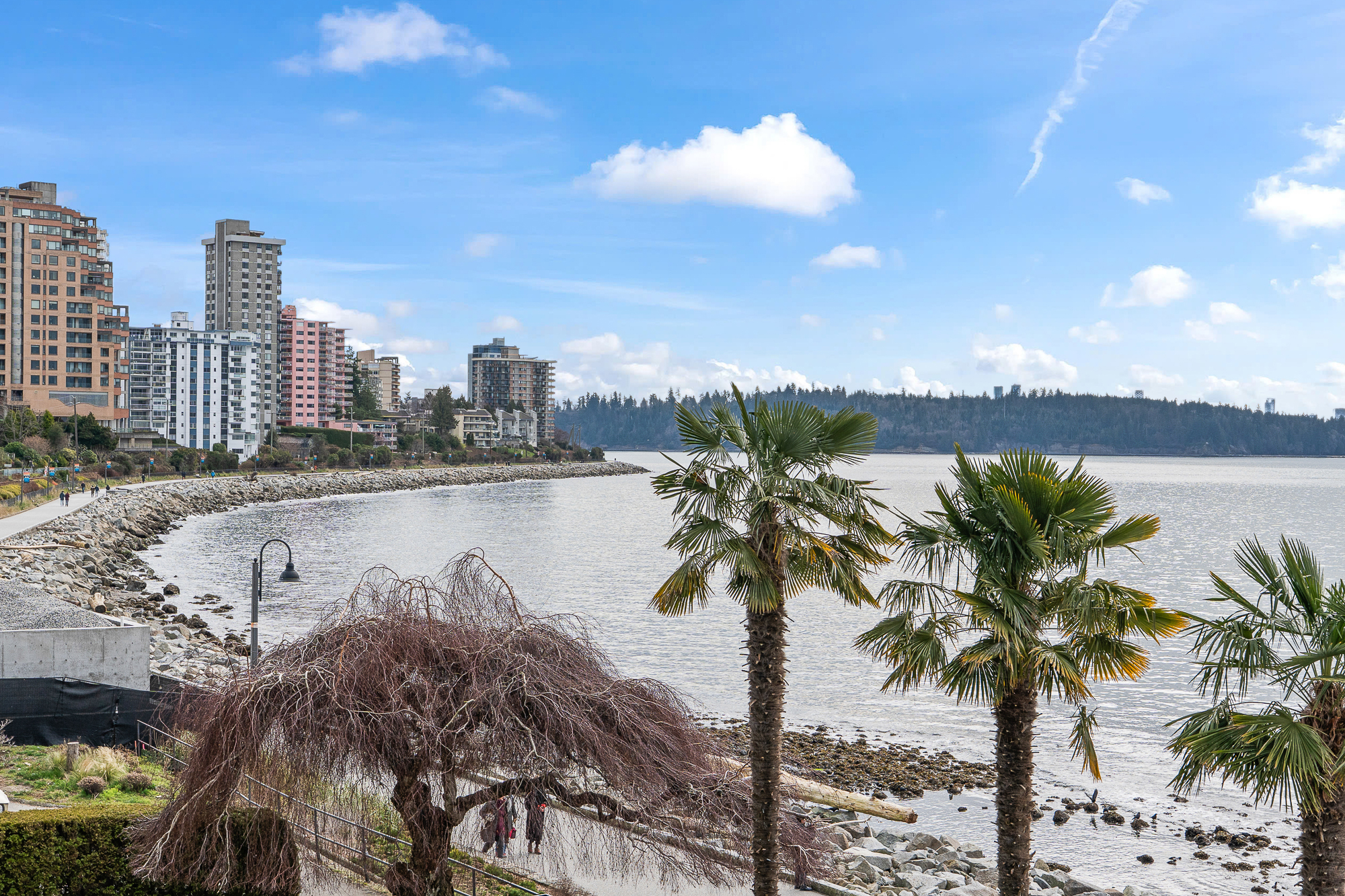 #203 – 150 24th Street